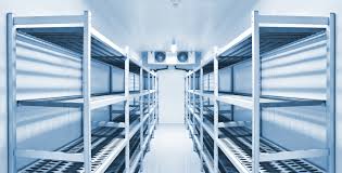 Preserve Quality and Freshness with Professional Cold Chain Solutions
