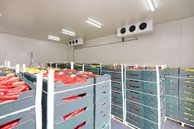 Room Temperature Reliability: The Essential Guide to Ambient Storage in Jeddah and Dammam